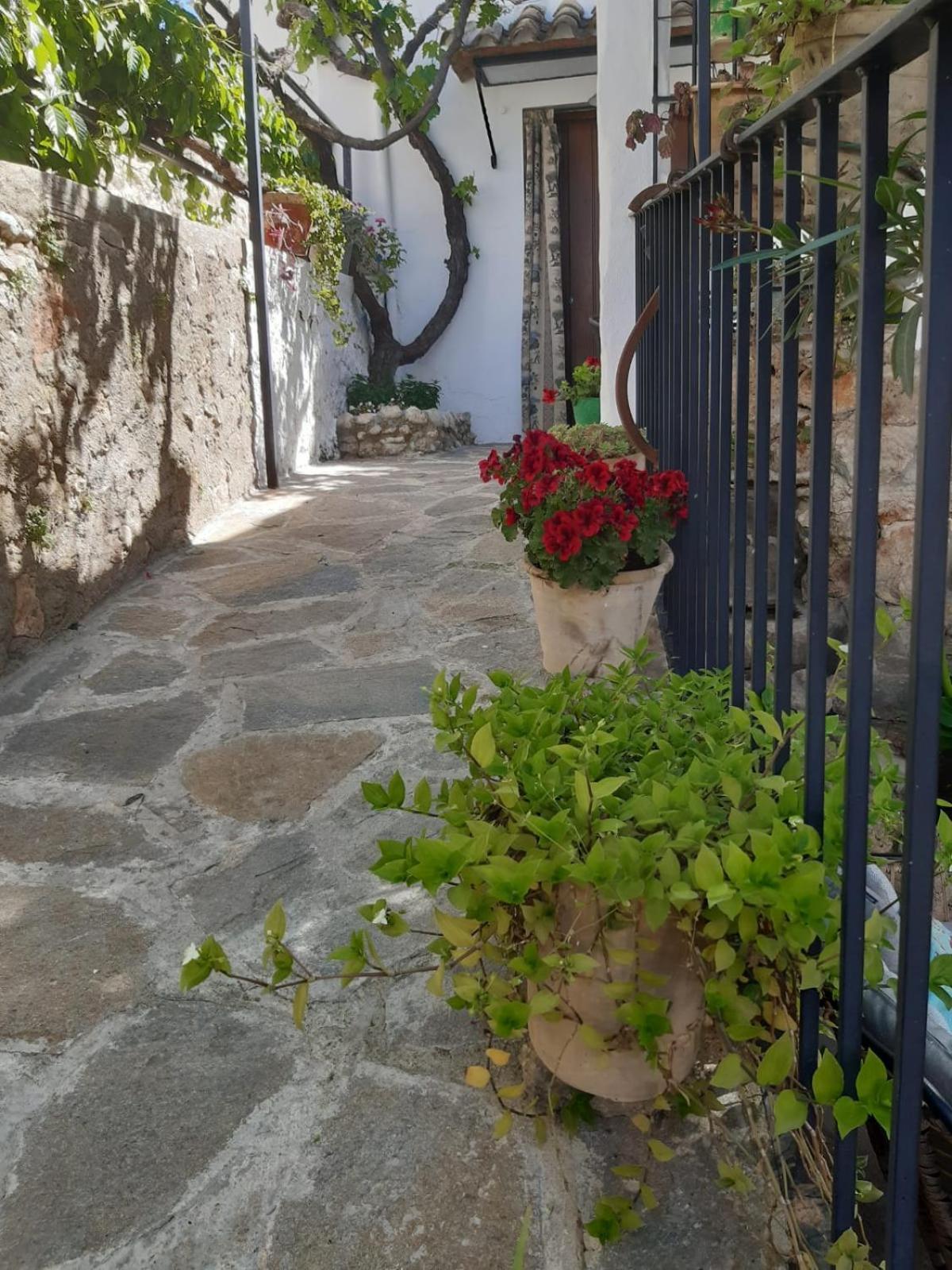 La Posada Amena Carcabuey エクステリア 写真
