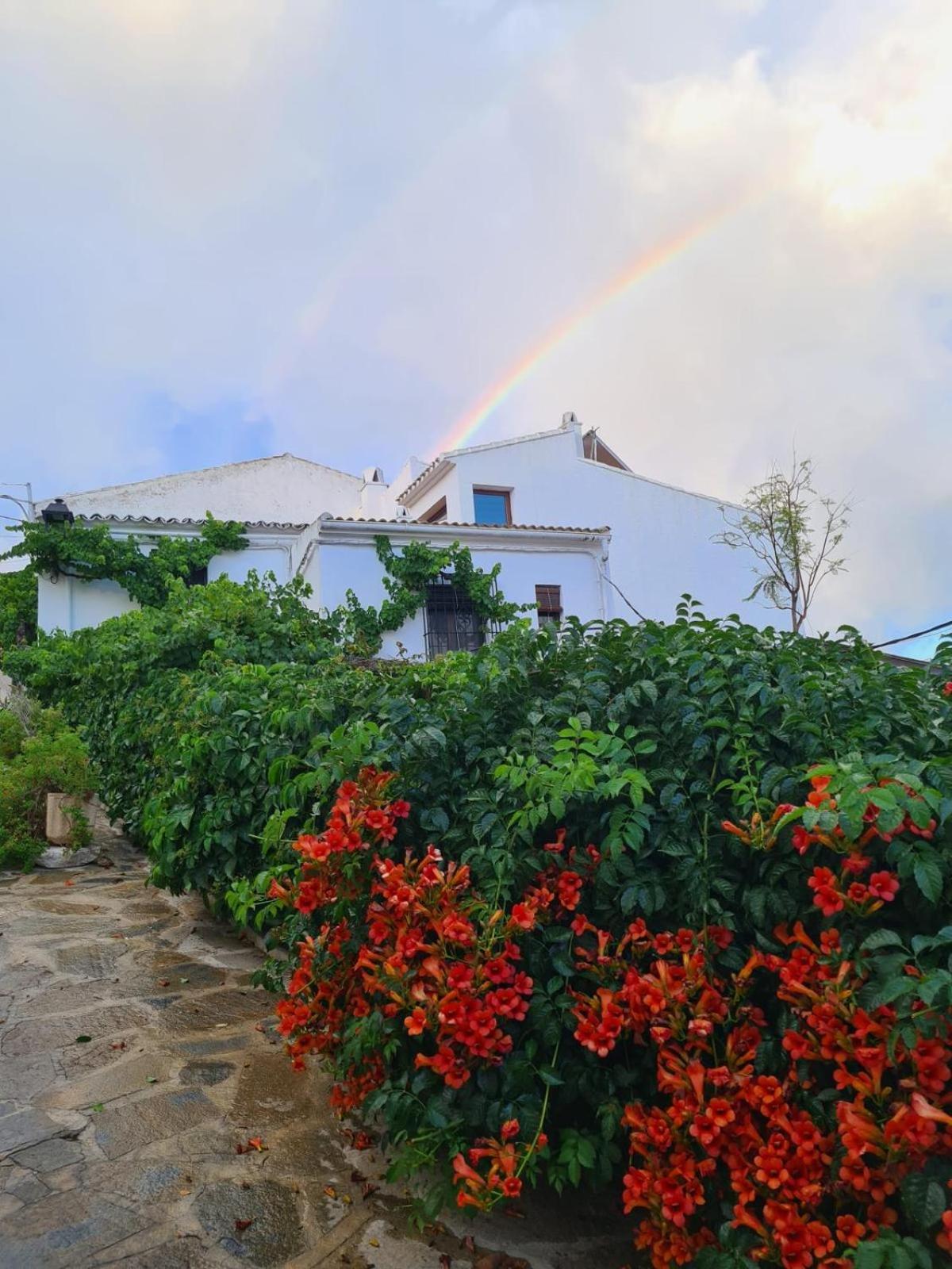 La Posada Amena Carcabuey エクステリア 写真