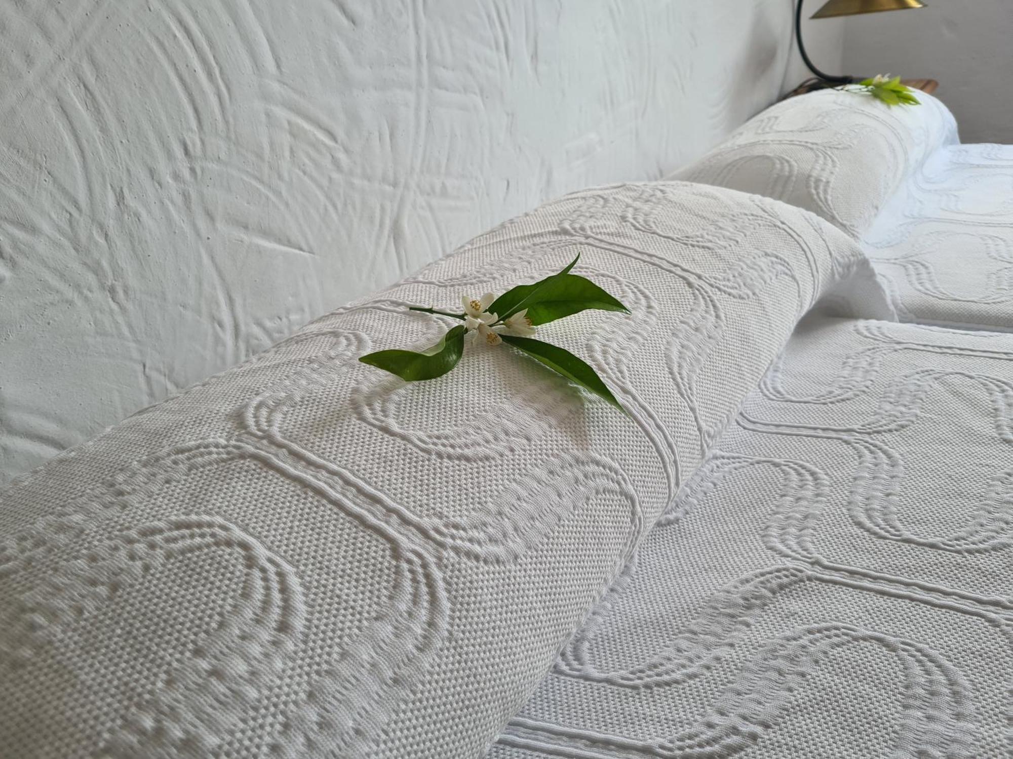 La Posada Amena Carcabuey エクステリア 写真